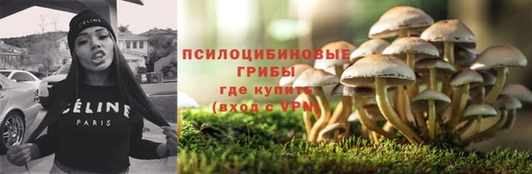прущие грибы Медногорск