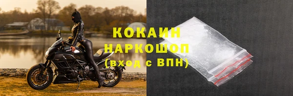 прущие грибы Медногорск