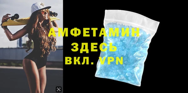 прущие грибы Медногорск
