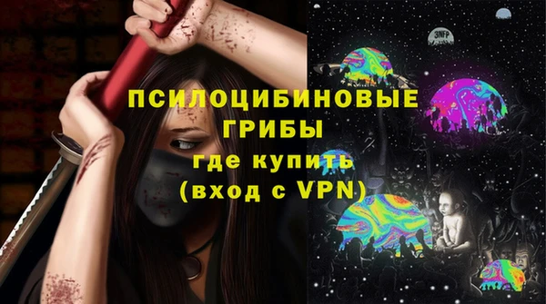 прущие грибы Медногорск