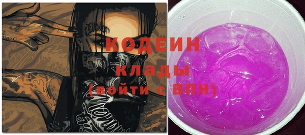 прущие грибы Медногорск