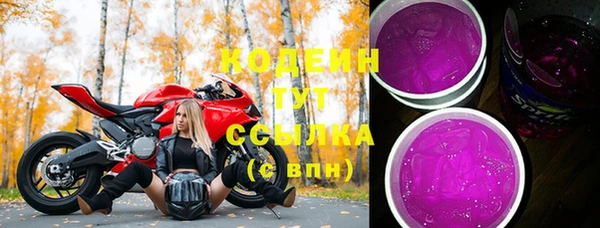 прущие грибы Медногорск