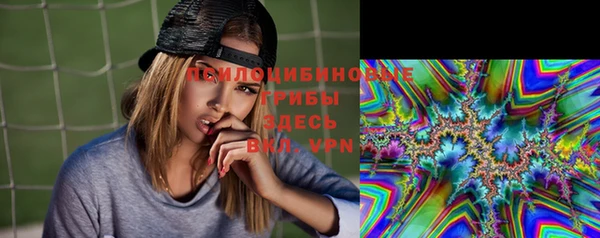прущие грибы Медногорск