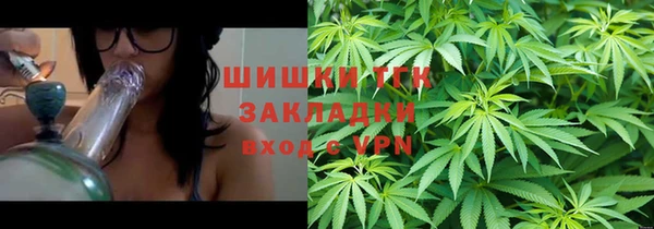 прущие грибы Медногорск
